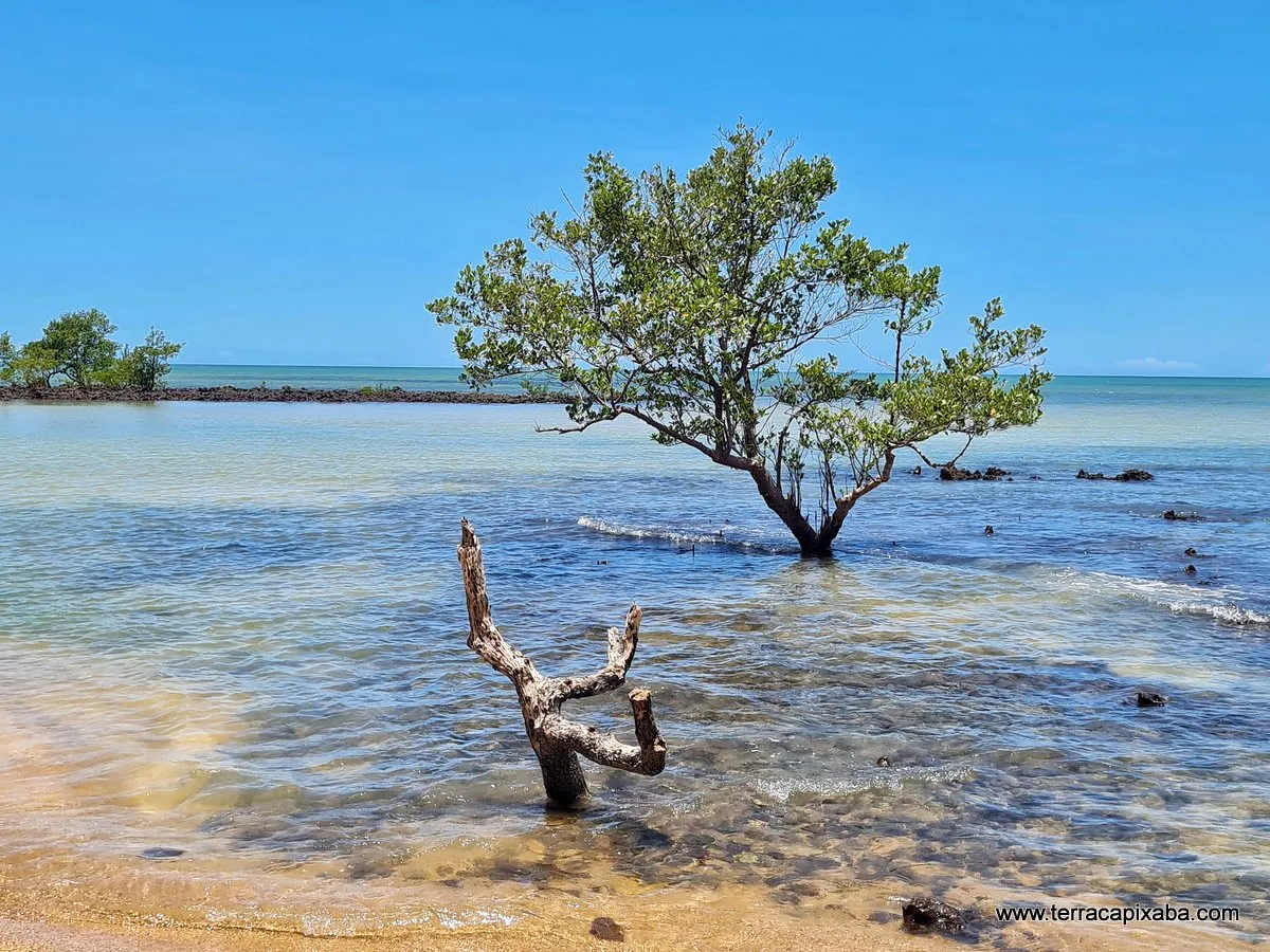 Paraíso na Terra Reserva Ecológica - All You Need to Know BEFORE You Go  (with Photos)